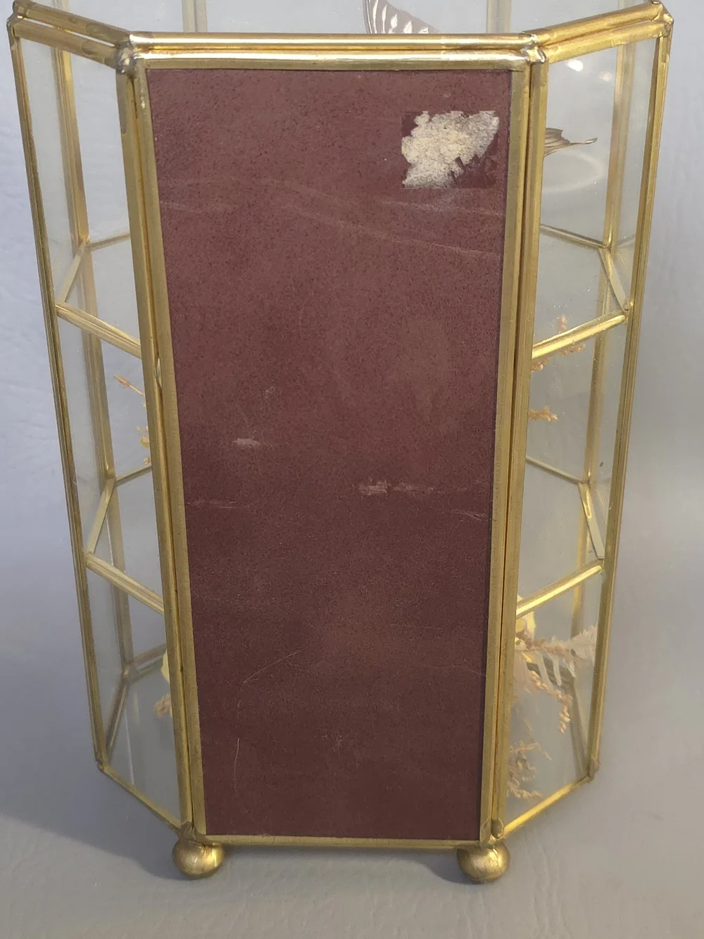 Mid Century Vintage Butterfly Taxidermy Floral In Brass And Glass Curio Cabinet